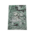 Cuadro - Venusaur