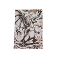 Cuadro - Charizard