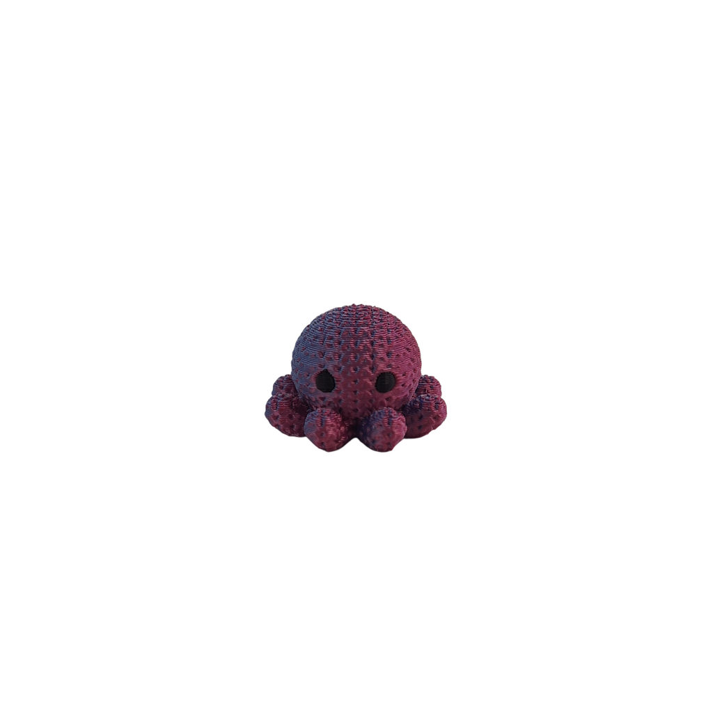 Pulpo multicolor